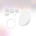81.webp